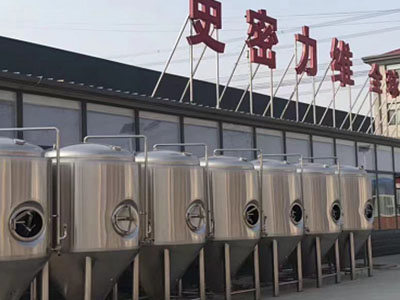 含山精酿啤酒设备厂—如何判断精酿啤酒设备的密封件需要更换？